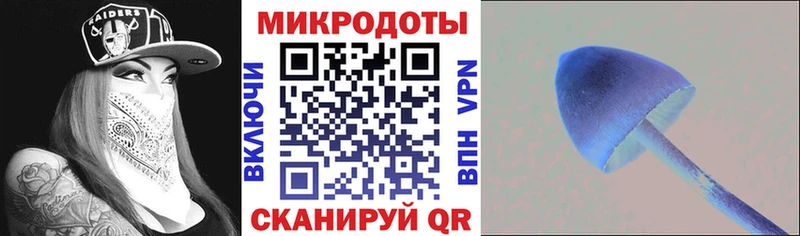 цена   OMG ONION  Псилоцибиновые грибы прущие грибы  Щучье 