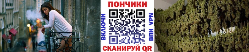 Бошки марихуана сатива  наркотики  Щучье 